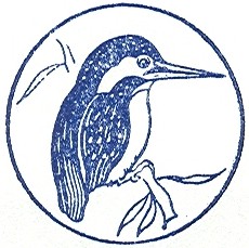 Kingfisher Logo